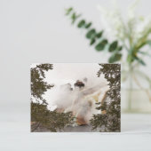 Steamy Bison Postcard Postkarte (Stehend Vorderseite)