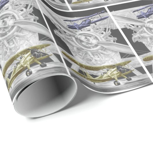 Stearman Biplane Geschenkpapier (Rolleneckpunkt)