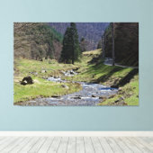 Steaza bei Sibiu Leinwanddruck (Insitu (Holzboden))