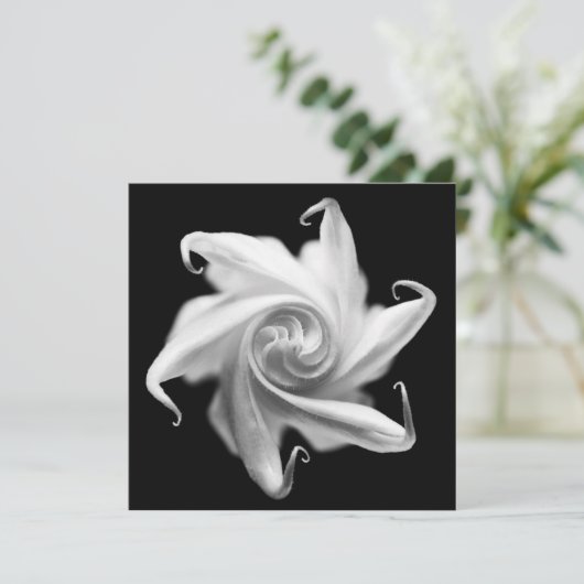 Stechapfel-Blumenknospe laden ein Einladung (Stehend Vorderseite)