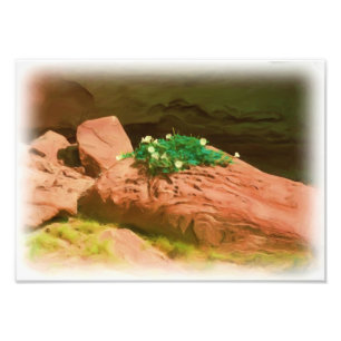 Stechapfel-Höhle Fotodruck