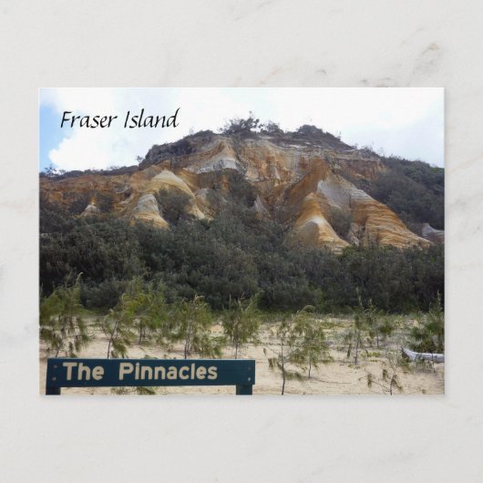 Stechdünen Postkarte (Vorderseite)