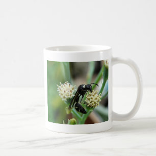 Stechen von Insekten und sukkulente Pflanze Kaffeetasse
