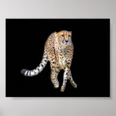 Stechend Tanzposter Poster (Vorne)