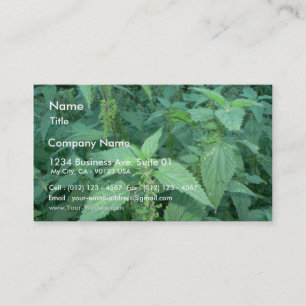 Stechende Nesseln Visitenkarte