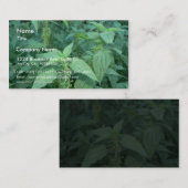 Stechende Nesseln Visitenkarte (Vorne/Hinten)