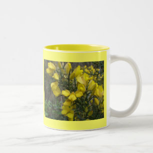 Stechginster Zweifarbige Tasse