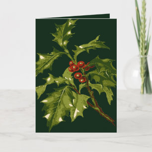 Stechpalme Mit Roten Steinfrüchten Botanisch-S Feiertagskarte