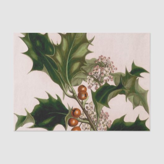 Stechpalmenbeeren Seidenpapier (Vorderseite)