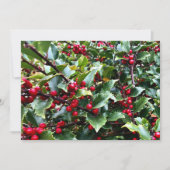 Stechpalmenblätter und Beeren Feiertagskarte (Vorderseite)