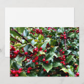Stechpalmenblätter und Beeren Feiertagskarte (Vorne/Hinten)