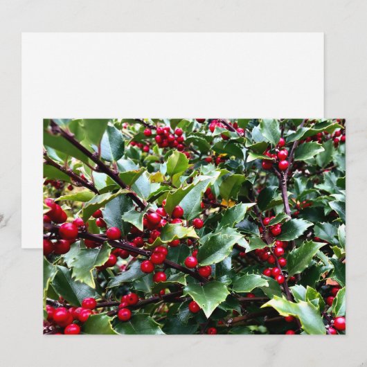 Stechpalmenblätter und Beeren Feiertagskarte (Vorne/Hinten)
