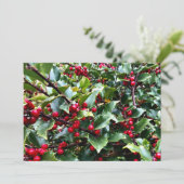 Stechpalmenblätter und Beeren Feiertagskarte (Stehend Vorderseite)