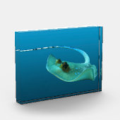 Stechrochen in Bewegung! Farbverlauf blauer Hinter Fotoblock (Links)