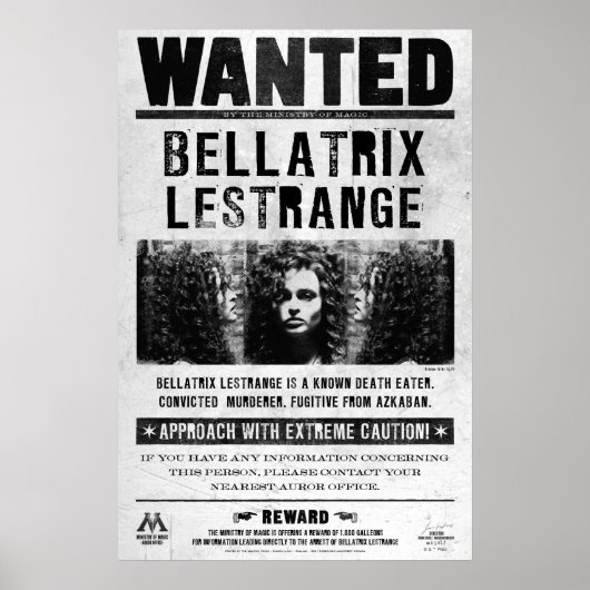 Steckbrief Bellatrix Lestrange Poster (Vorne)