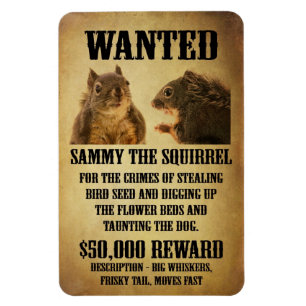 Steckbrief mit Eichhörnchen Magnet