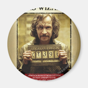 Steckbrief Sirius Black Magnet