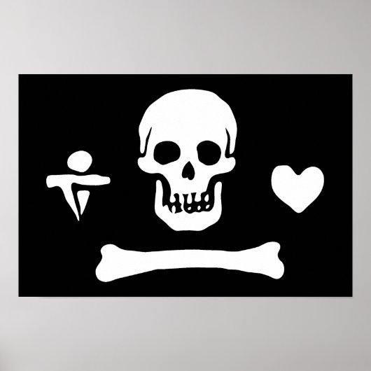 Stede Bonnet Poster (Vorne)