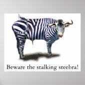 Steebra Poster (Vorne)