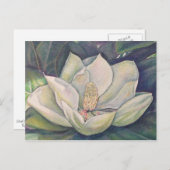 Steel Magnolia Postkarte (Vorne/Hinten)