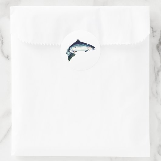 Steelhead Schwimmen Runder Aufkleber (Tasche)