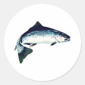 Steelhead Schwimmen Runder Aufkleber (Vorderseite)