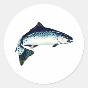 Steelhead Schwimmen Runder Aufkleber
