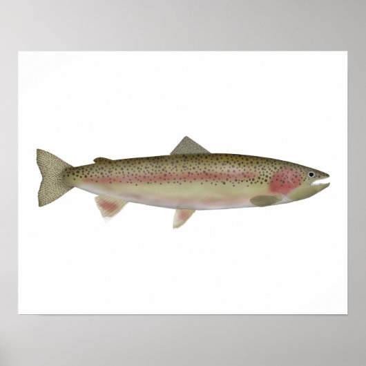 Steelhead - Spaziergang Poster (Vorne)