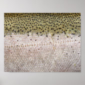 Steelhead Trout Poster (Vorne)