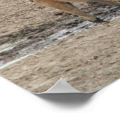 Steens mare and foor poster (Ecke)