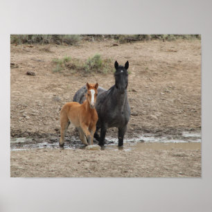 Steens mare and foor poster