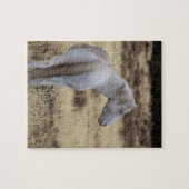 Steens Mustangs Puzzle (Horizontal)