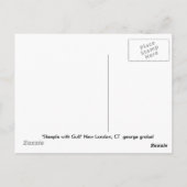 Steeple with Gull Postkarte (Rückseite)