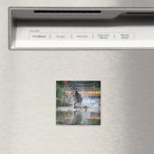 Steeplechase - Machen Sie einen Big Splash Magnet (In Situ (Geschirrspüler))