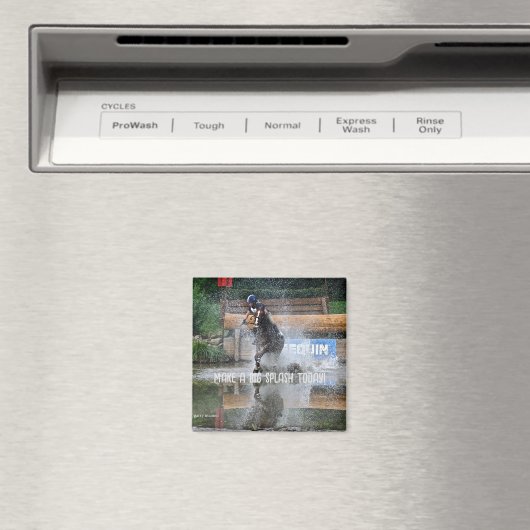 Steeplechase - Machen Sie einen Big Splash Magnet (In Situ (Geschirrspüler))