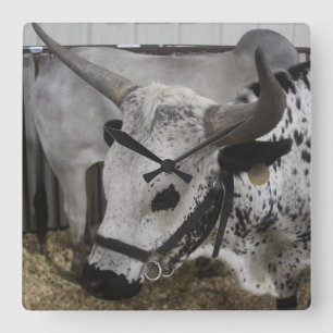 Steer Clock Quadratische Wanduhr