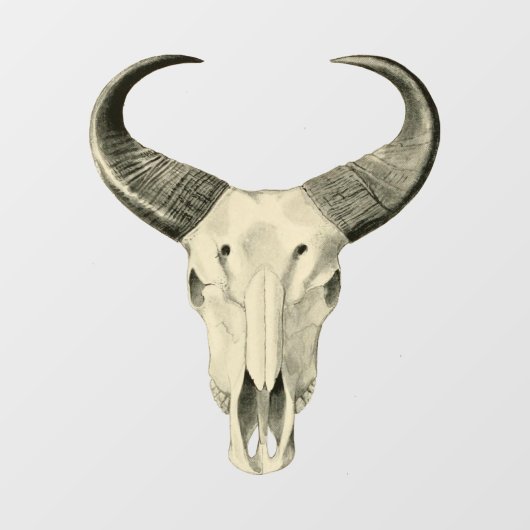 Steer Skull Fensterklebevorrichtung Fensteraufkleber (Blatt)