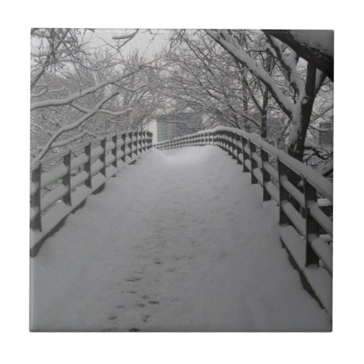 Steg Fliese (Vorderseite)