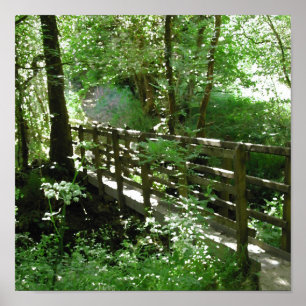 Steg im Waldland Poster