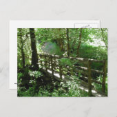 Steg im Waldland Postkarte (Vorne/Hinten)