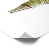 Stegbone-Fischlager Poster (Ecke)