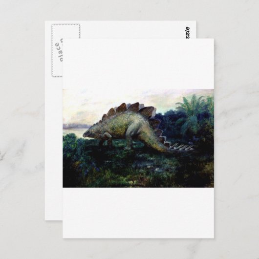 Stegosaurus-4 Postkarte (Vorne/Hinten)