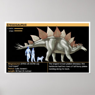 Stegosaurus - Biologie Dinosaurier-Zeitstrahl Poster
