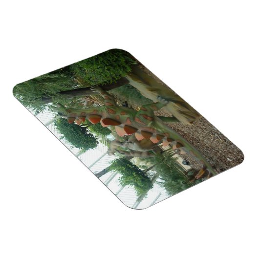 Stegosaurus Dinosaur Flexible Magnet (Rechte Seite)
