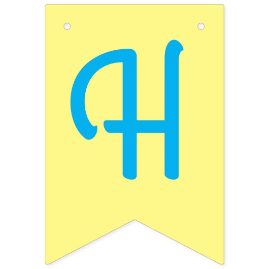 Stegosaurus Dinosaur Geburtstagsparty Wimpelkette (Zweite Fahne)