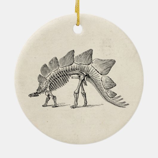 Stegosaurus Dinosaur Skeleton Fossil Keramik Ornament (Hinten)