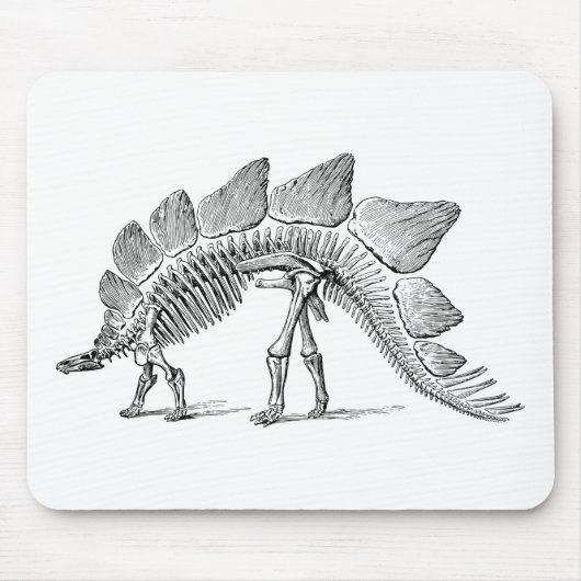 Stegosaurus Dinosaur Skeleton Fossil Mousepad (Vorne)