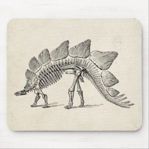 Stegosaurus Dinosaur Skeleton Fossil Mousepad
