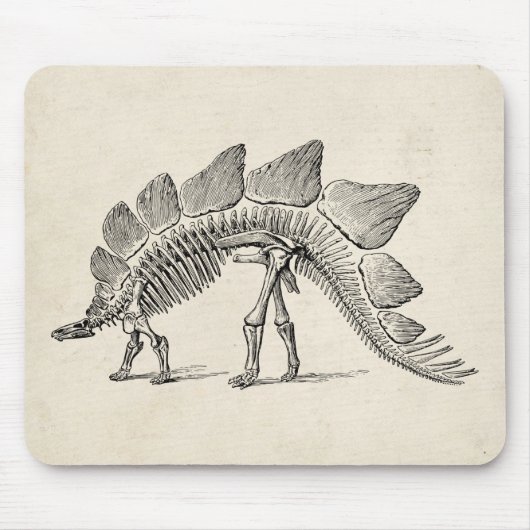 Stegosaurus Dinosaur Skeleton Fossil Mousepad (Vorne)