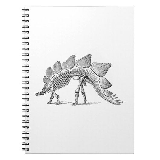 Stegosaurus Dinosaur Skeleton Fossil Notizblock (Vorderseite)